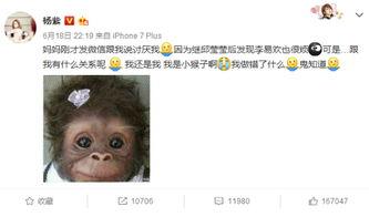 杨紫微博爆料事件最新,揭秘娱乐圈背后真相